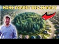 This unique forest has a huge impact in a small space