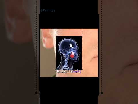 العضلة اللي كتحر ك الفم صراحة عجيبة