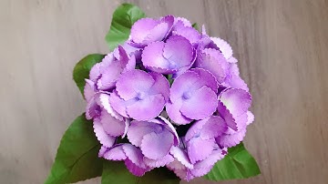 ABC TV | How To Make Hydrangea Paper Flower With Shape Punch #1 - Craft Tutorial