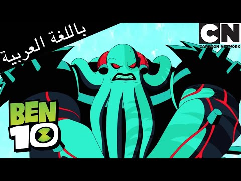 بن  الفولميناي وفيلغا كرتون نتورك