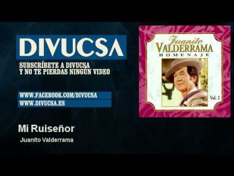 Mi Ruiseñor Video