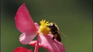 Share a little love with your neighbors