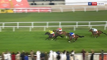 ROYAL CHAMPION wins the Bahrain International Trophy! 🇧🇭🥇