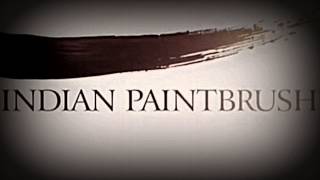 A Bunch Of Logos Enchanced With Nether Camera V4Ncma,Nether Camera More Advanced