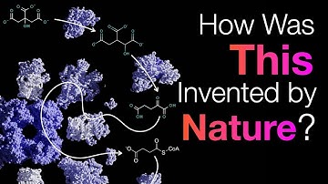 How do cells come up with their programming language?