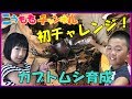 夏休みの自由研究【初！カブトムシの育成】オスとメスのペア(夫婦)飼う？ Beetle Breeding How to grow