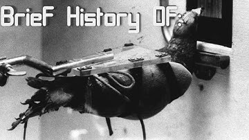 A Brief History of: Project Pigeon/ Project Orcon