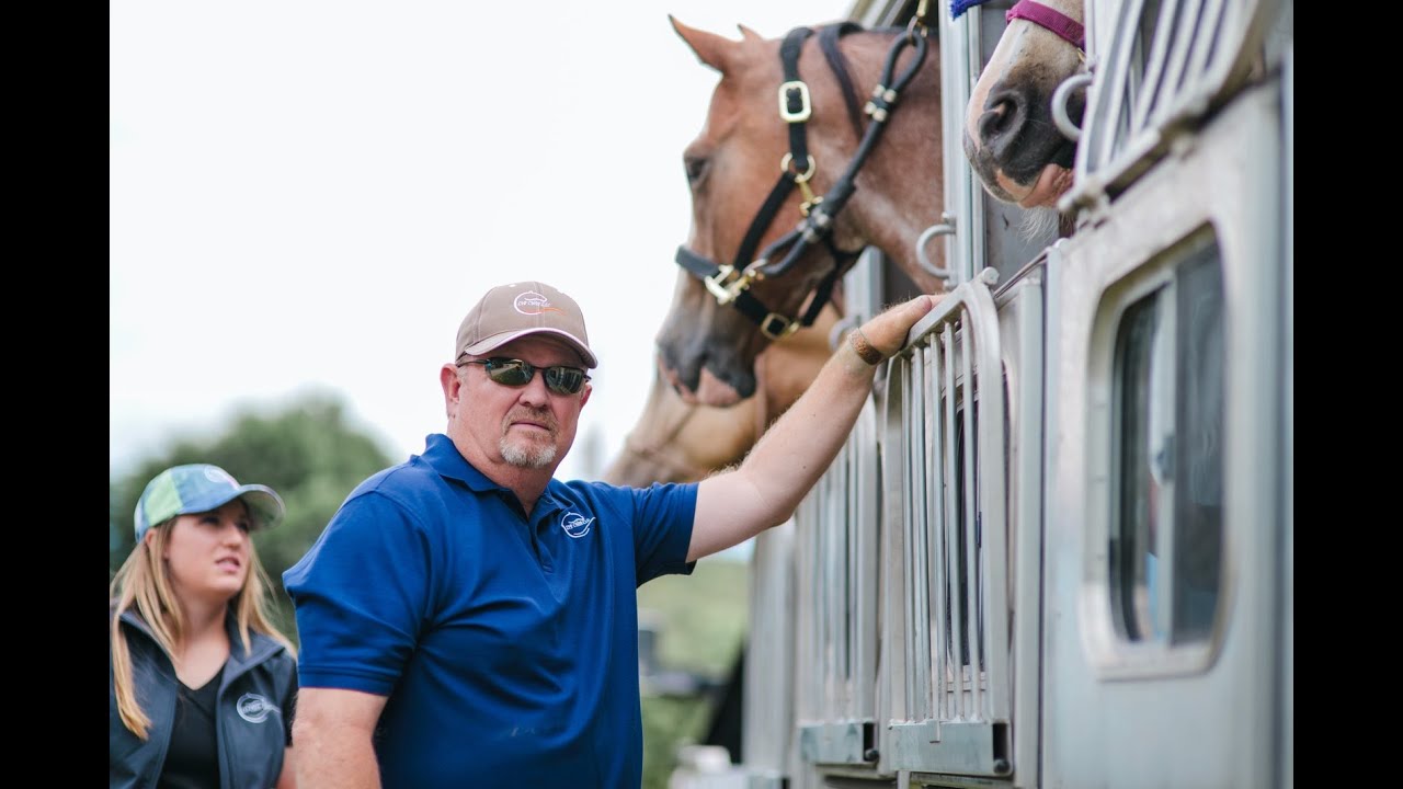 Lip Chip: Taking the Guess Work Out of Equine Identification and Microchipping