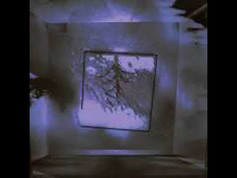 Fleetwire - Sundown