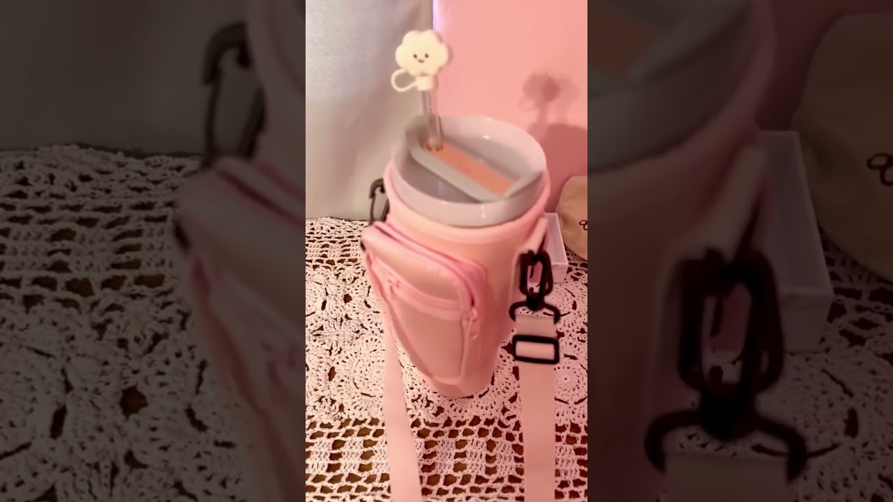 Pink Stanley cup craze 