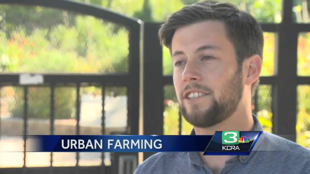 Should Sacramento allow Urban Farming?