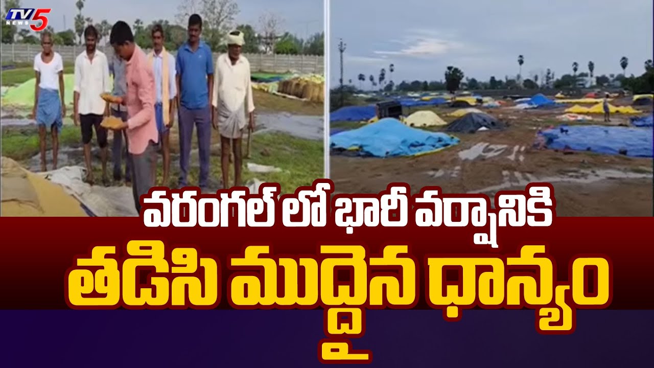 తడిసి ముద్దైన ధాన్యం Huge Loss To Farmers Due To Heavy Rains In ...