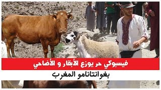 فيسبوكي حر يوزع أبقار و أضاحي العيد بغوانتانامو المغرب ويعلن عن ثلاث مشاريع تنموية ( الحلقة : 1 )