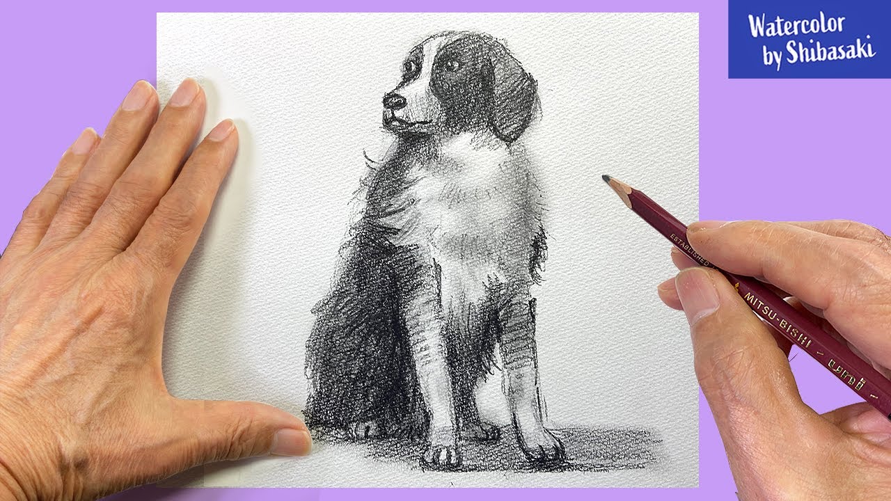 Eng Sub How To Draw A Dog With A Pencil Step By Step Withme Youtube