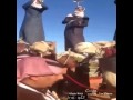 تراث الهجن والهجانه مرضي عبدالله التمامي العنزي