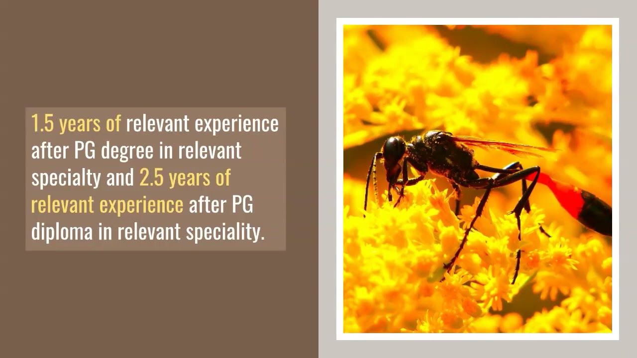 CRPF Recruitment: Walk-in Interview for 60 Specialist Medical Officer and GDMO positions