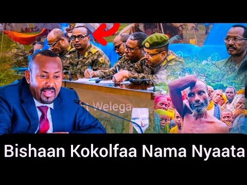 Bishaan Kolfisisaa Nama Nyaata Kun Dubbi Dhugaatti Sept 11 2025