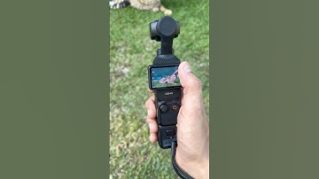 Pocket 3 - Best Camera for Vlogging✅ Check Results👆👆 #dji #djipocket3 #camera