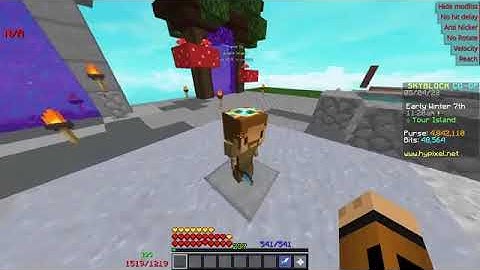 Hypixel Skyblock Dupe Glitch V2.0 // 900M+ Coins // Working on November 2022