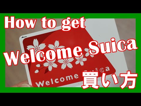 訪日外国人用 限定ICOCA Suica【バラ売り可】 訪日外国人用 限定ICOCA Suica【バラ売り可】