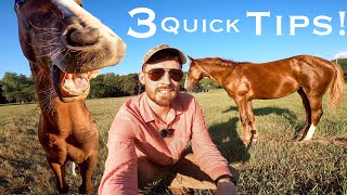 How To Build TRUST With A WILD Foal! (Foal Training In The Pasture!)