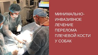 Минимально-инвазивное лечение перелома плечевой кости у собаки