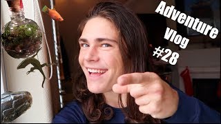 Adventure Vlog #28 | Fish, Terrariums & Macro Photography
