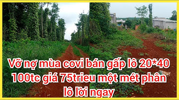 Bán đất nền bà Rịa vũng tàu - cần bán gấp lô đất 20*40 100tc 70trieu 1m đất bao đẹp luôn