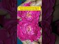 Rose Syrup Recipe - Bina Chemical Ke 100% Natural | Summer Special |