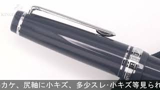 SAILOR セーラー 万年筆 プロフェッショナルギア スリム 銀 ラメ