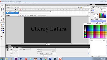 Adding mask effect on the text using Macromedia Flash 8