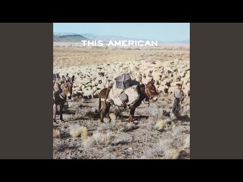 Video Highways