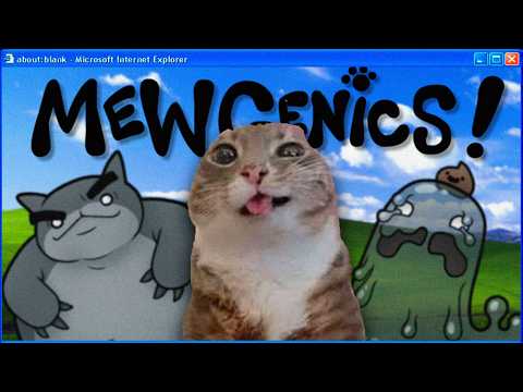 Como dominar o mundo usando gatos (100% atualizado 2026)