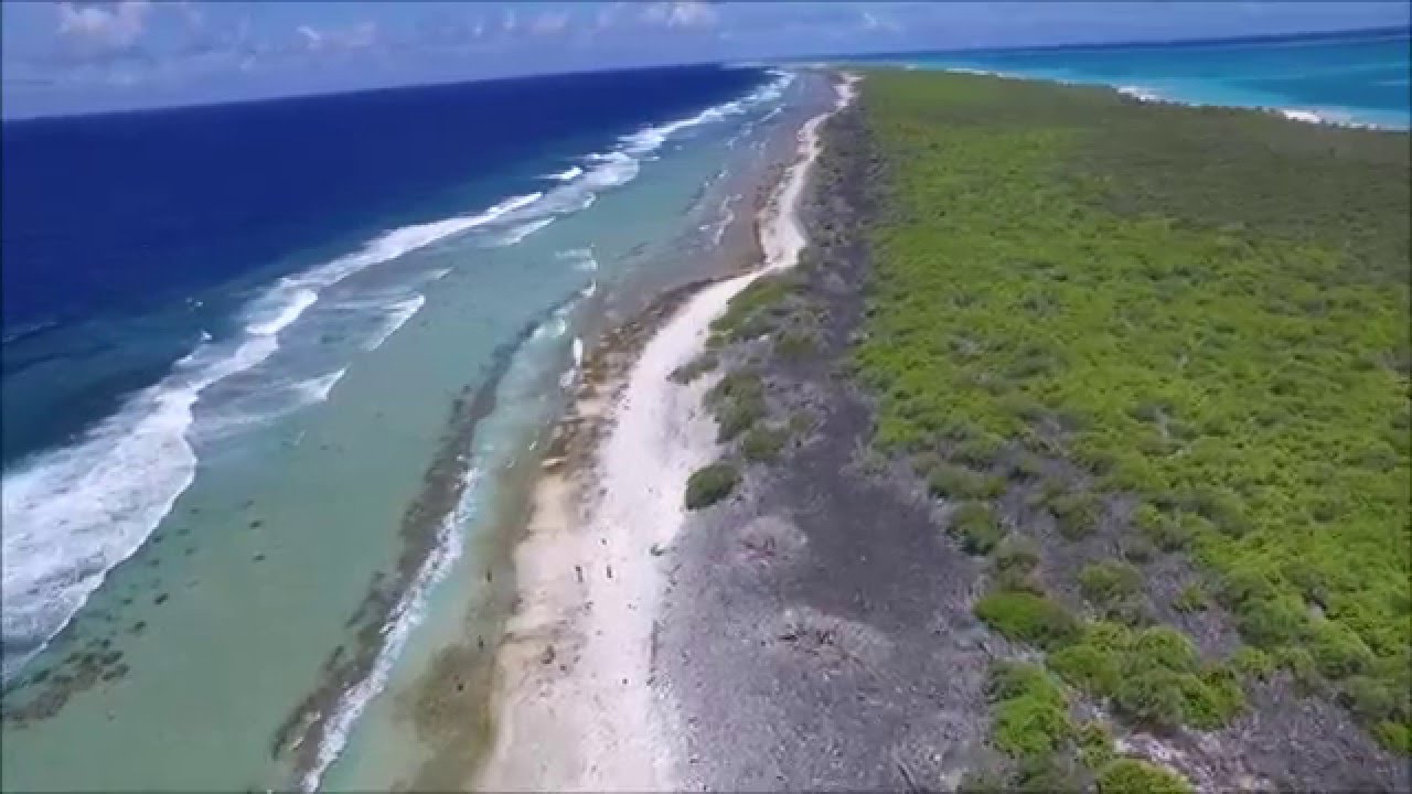 ODYSSEY 2015 - Plastic is everywhere