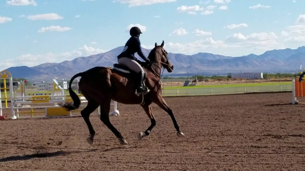 Vanessa medal final round 2 11-16-11