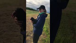 IMG 4554