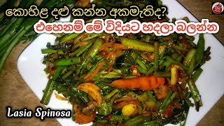 බඩ පිරෙන්න බත් කන්න කොහිළ දළු මෙහෙම හදන්න| kohila dalu recipe| Lasia spinosa| kohila dalu themparadu