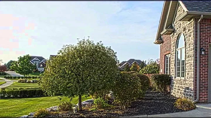 3366 Creekview Dr. Davison 48423 | Kristine McCarty