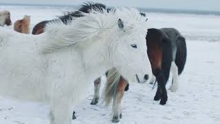 Beautiful Iceland