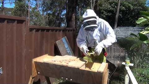 Adding a feeder to a Top Bar Hive
