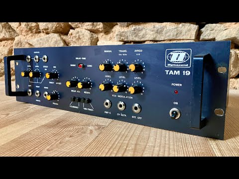 rare birds: Dynacord TAM 19 (Time Axis Modulation)
