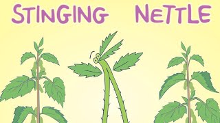 Video thumbnail of "Pete Moss - Stinging Nettle"