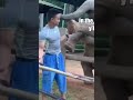 elephants #trendingshorts #trending #funnyshorts #funnyvideo #youtubeshorts #animals#funny#elephants