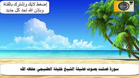 سورة فصلت 51 53