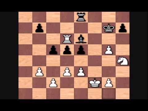 Chess Puzzles from the Games of Henrique Mecking.