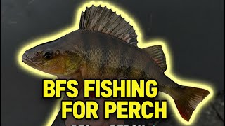 Bfs Fishing For Perch Ultralight Finesse Tactics For Pressured Fish Rods, Lures & Techniques