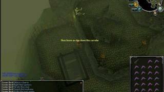 RS - How to get into the experiments cave without the quest.
