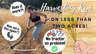Growing and harvesting RYE on a less than 2 acre homestead!