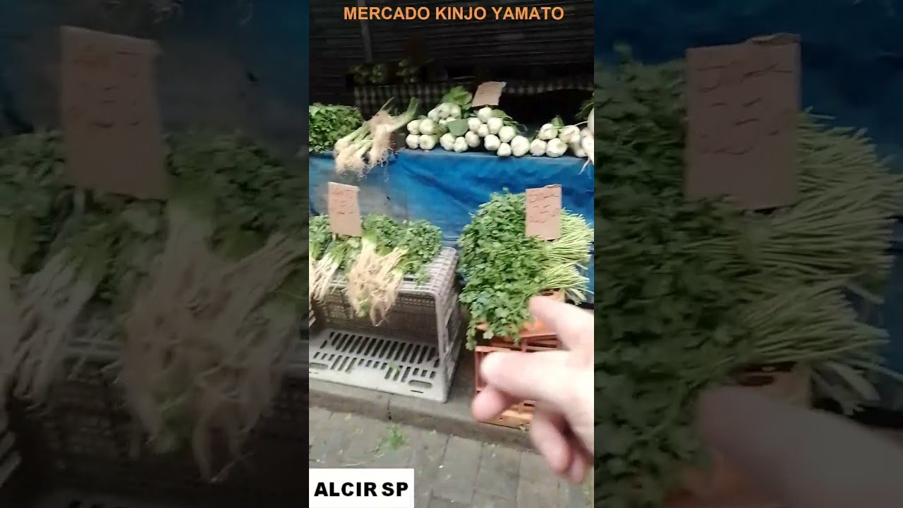 Mercado Kinjo Yamato ao lado do Mercado Municipal de São Paulo Legal para visitar bom para comprar