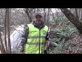 Cupo en Batida de Jabalí en Anayo, Piloña, Asturias Paraíso Natural, síguenos en nuestro canal.